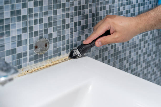Office Mold Removal Services in Bryn Mawr, PA